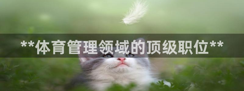 必一运动·(B-Sports)土豆
