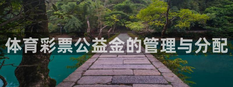 必一体育网页：体育彩
