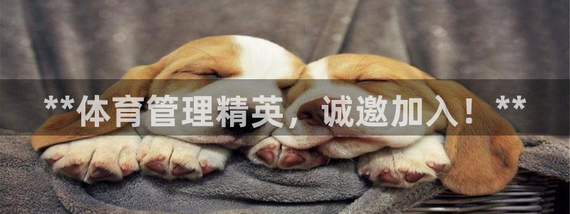 必一体育登陆：**体