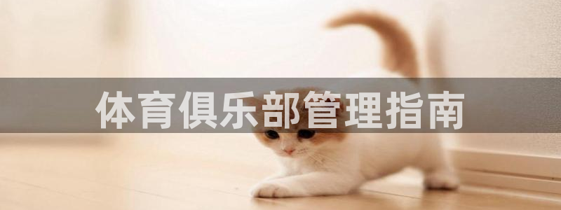必一运动体育官网下载