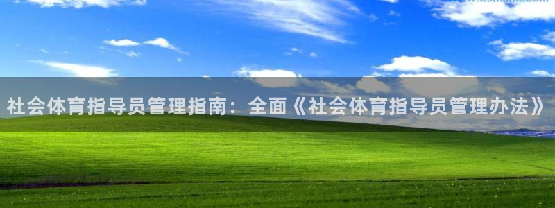 Bsport体育app必一