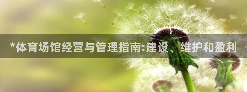 必一体育sport官网