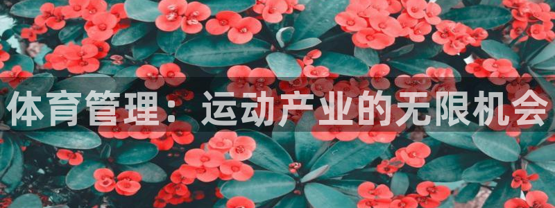 必一体育官方入口