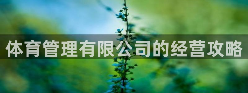 必一体育官方下载
