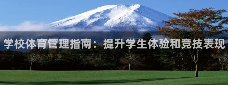 必一体育全站在线登录入口