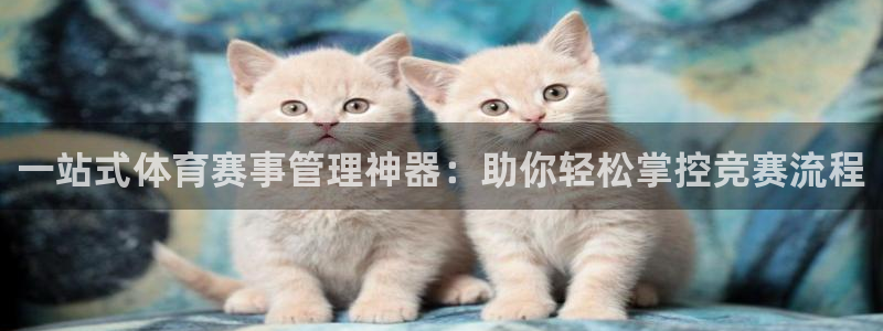必一运动B-Sport官方网站入口