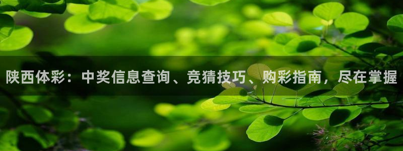 必一体育官网网址