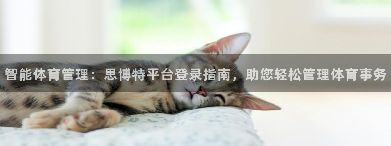 必一体育合法吗：智能