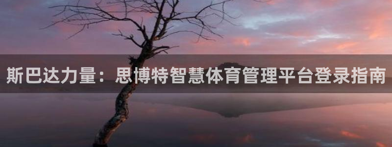 必一体育皮尔斯