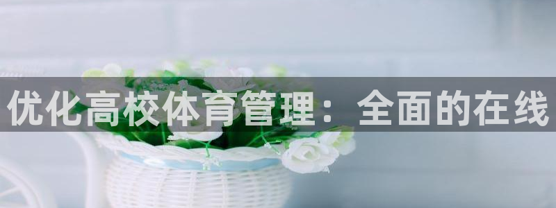 必一运动官网平台：优
