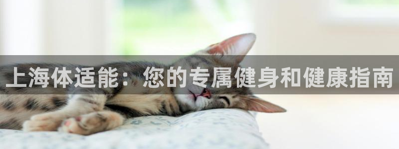 必一体育验证码：上海