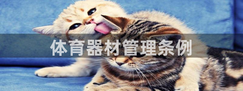 必一体育秀给网