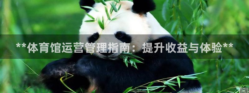 必一体育下载义：**