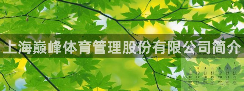 必一体育app下载：