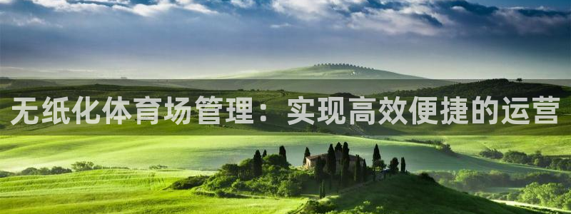 必一体育网址：无纸化