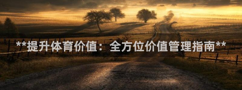 b体育必一下载：**