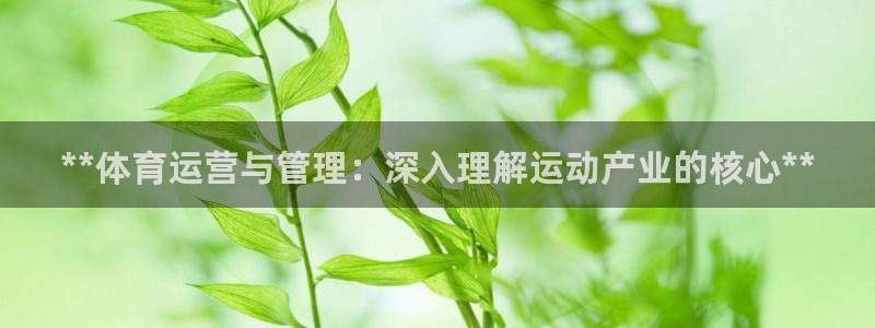 必一体育app官方网
