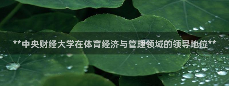 必一体育sportB