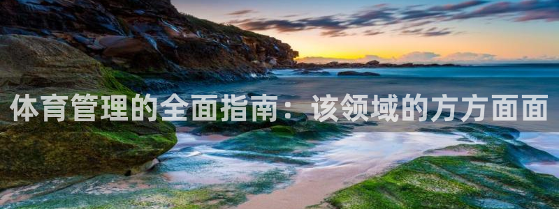 必一体育sport：