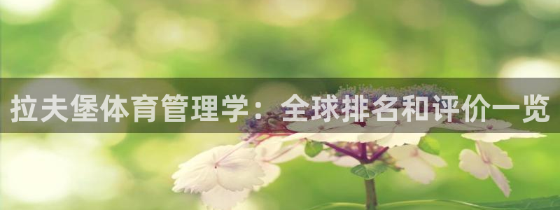 必一体育手机下载