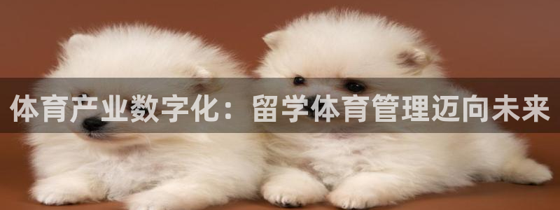必一运动体育官网下载