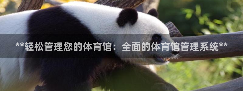 必一体育黑钱：**轻