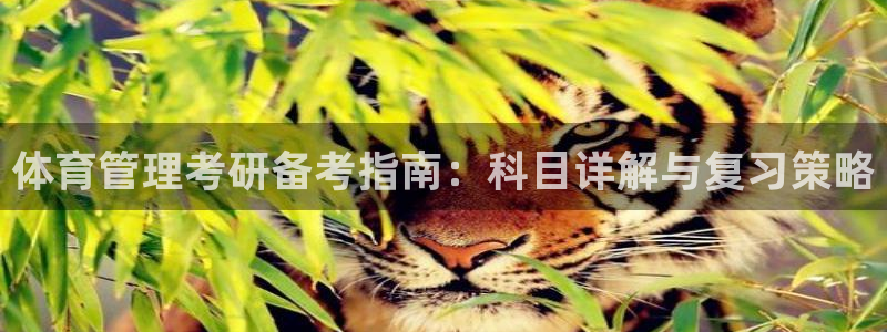 必一运动·(B-Sp
