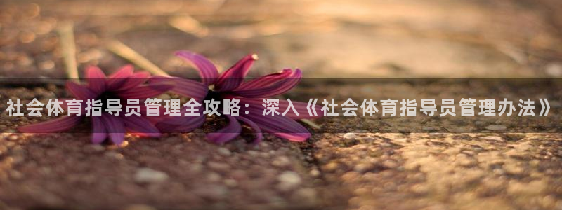 必一体育运动平台官网