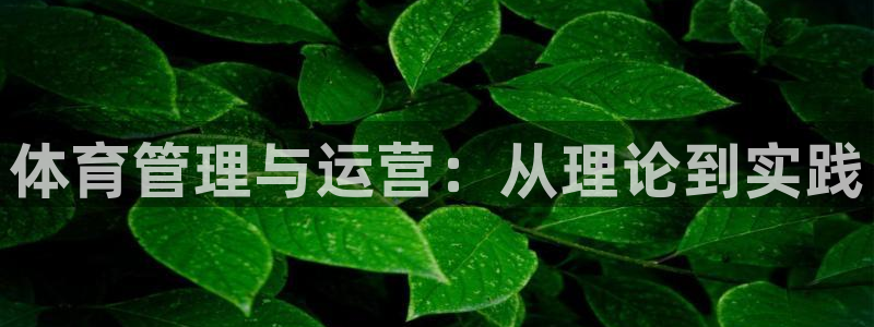 必一体育app下载