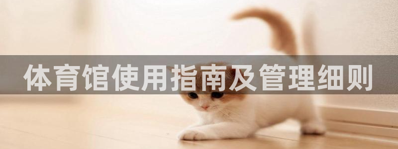 必一体育怎么下载：体