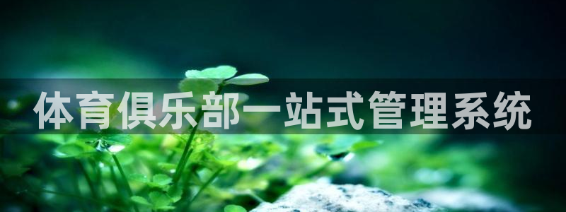 必一体育网址
