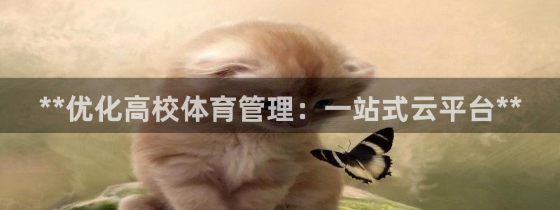 必一体育app官方：