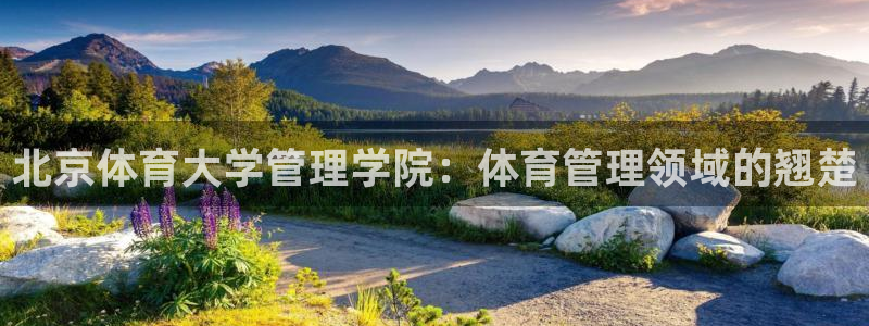 必一体育网址：北京体