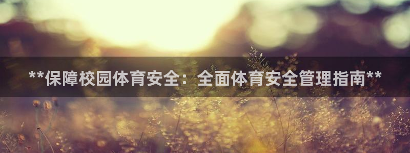 b体育官网下载入口app必一