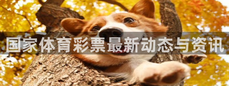 必一体育登入