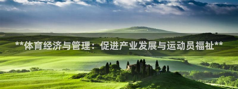 必一运动 b 体育素