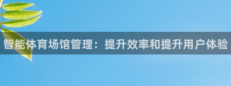 必一体育官网网站