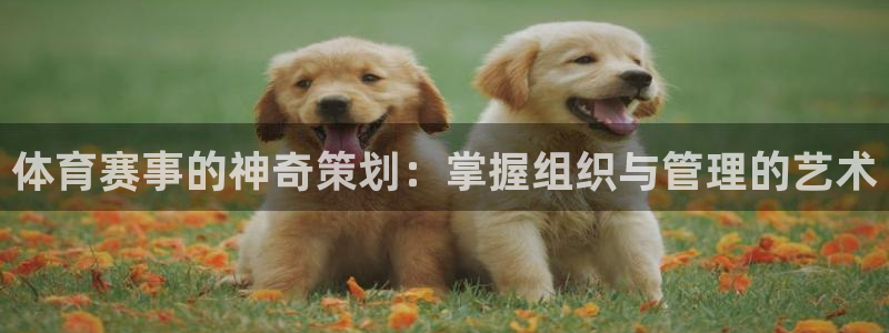 必一体育服下载最新版