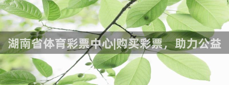 必一体育APP下载安
