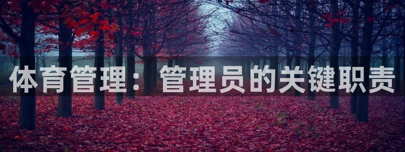 必一体育app官方网站