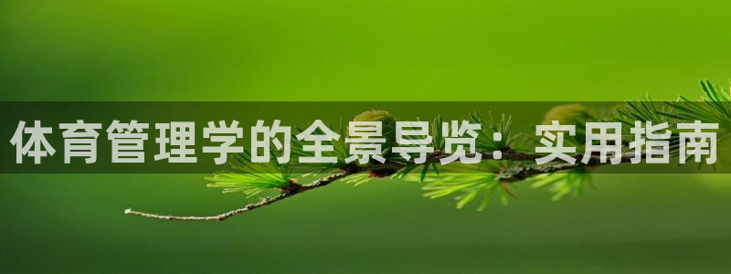必一体育下载意思：体