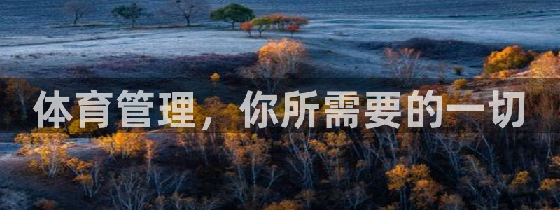 必一体育下载app