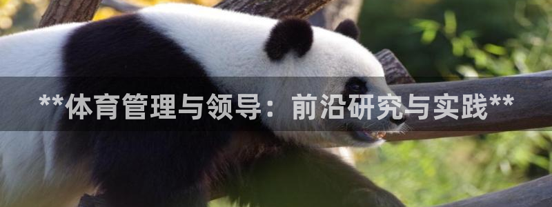 必一体育app官方：