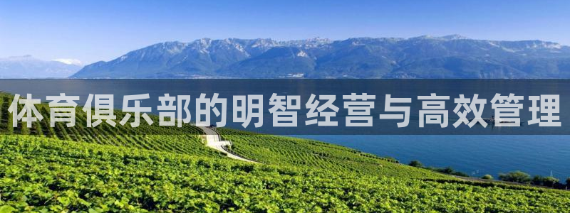 必一体育官网网站