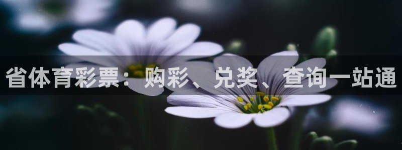 必一运动·(B-Sports)土豆