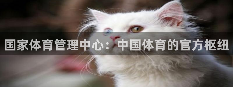 必一运动官网入口