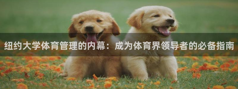 必一体育下载秀给网：