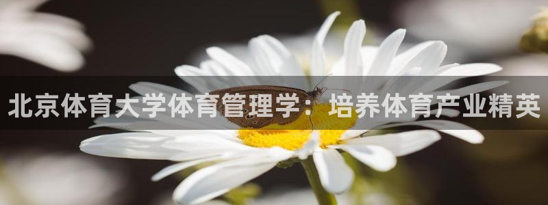 必一体育登陆