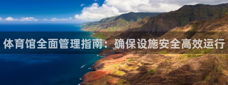 必一体育app官方网