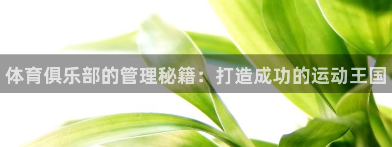必一运动验证码：体育